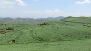 省委副书记石谋军莅临省农科院调研指导