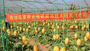乐鱼leyu体育官方网站app下载