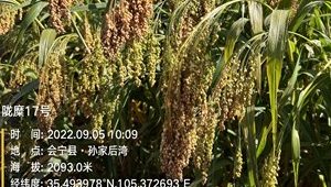 副省长王钧莅临省农科院调研指导工作