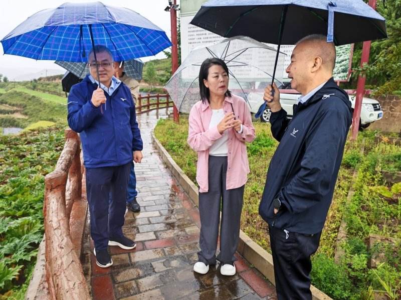 陇南等地