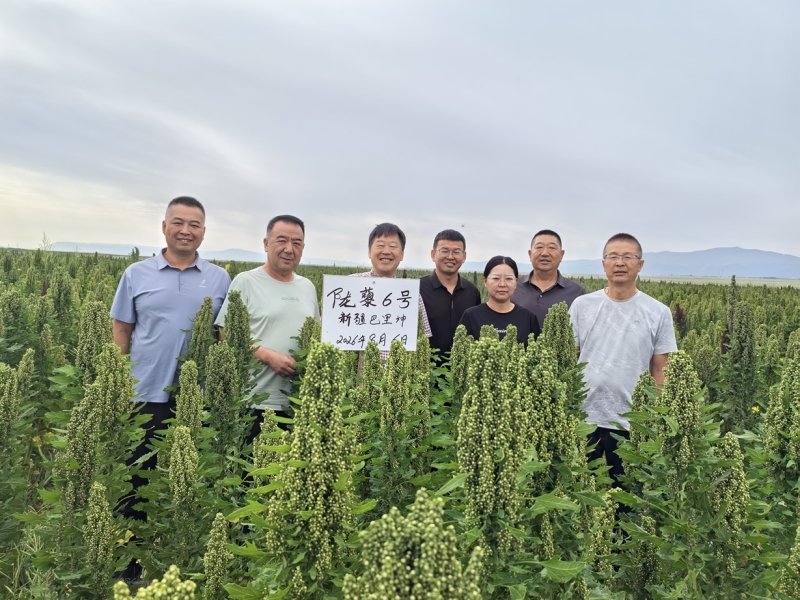 leyu·乐鱼（中国）官方网站入口说