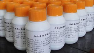 乐鱼leyu体育官方网站app下载