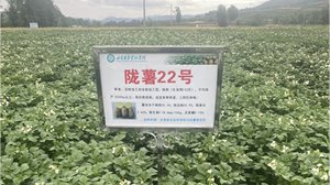乐鱼leyu体育官方网站app下载