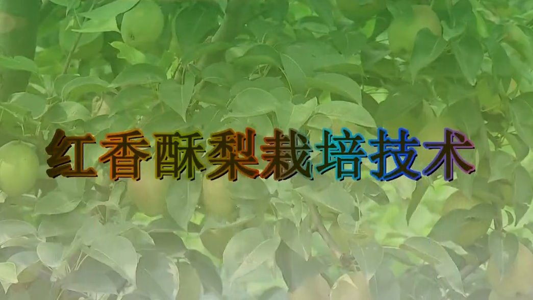 730070 陇ICP备150028