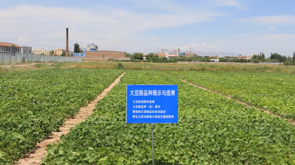 项目成果依托乐鱼leyu体育官方网站