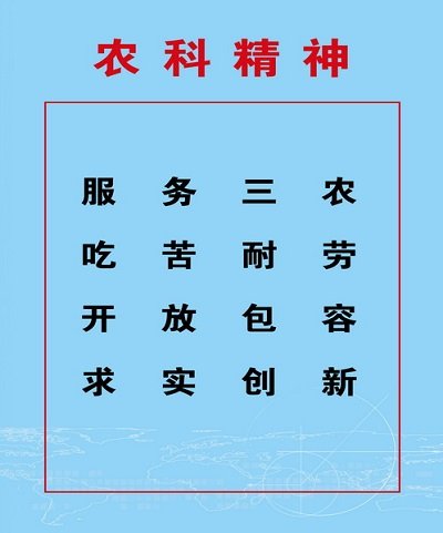 乐鱼·leyu体育官方网站