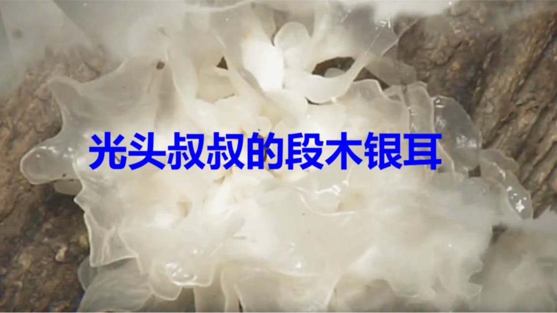 甘肃省兰州市安宁区农科院新村1号 邮