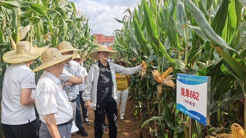 畜草所召开退休职工座谈会暨“夏日送清