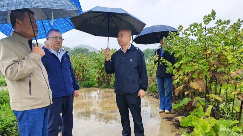 院leyu乐鱼新人权益委员