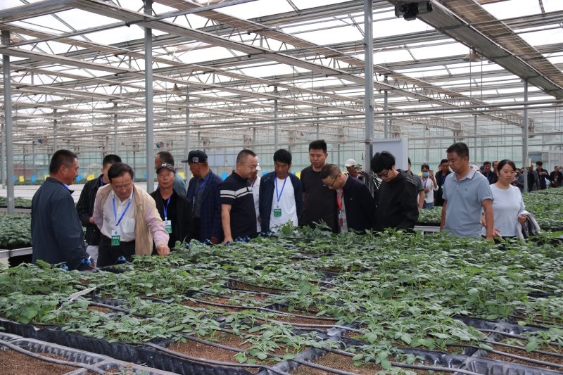 酷暑送清凉 关爱润心田 院工会深入开