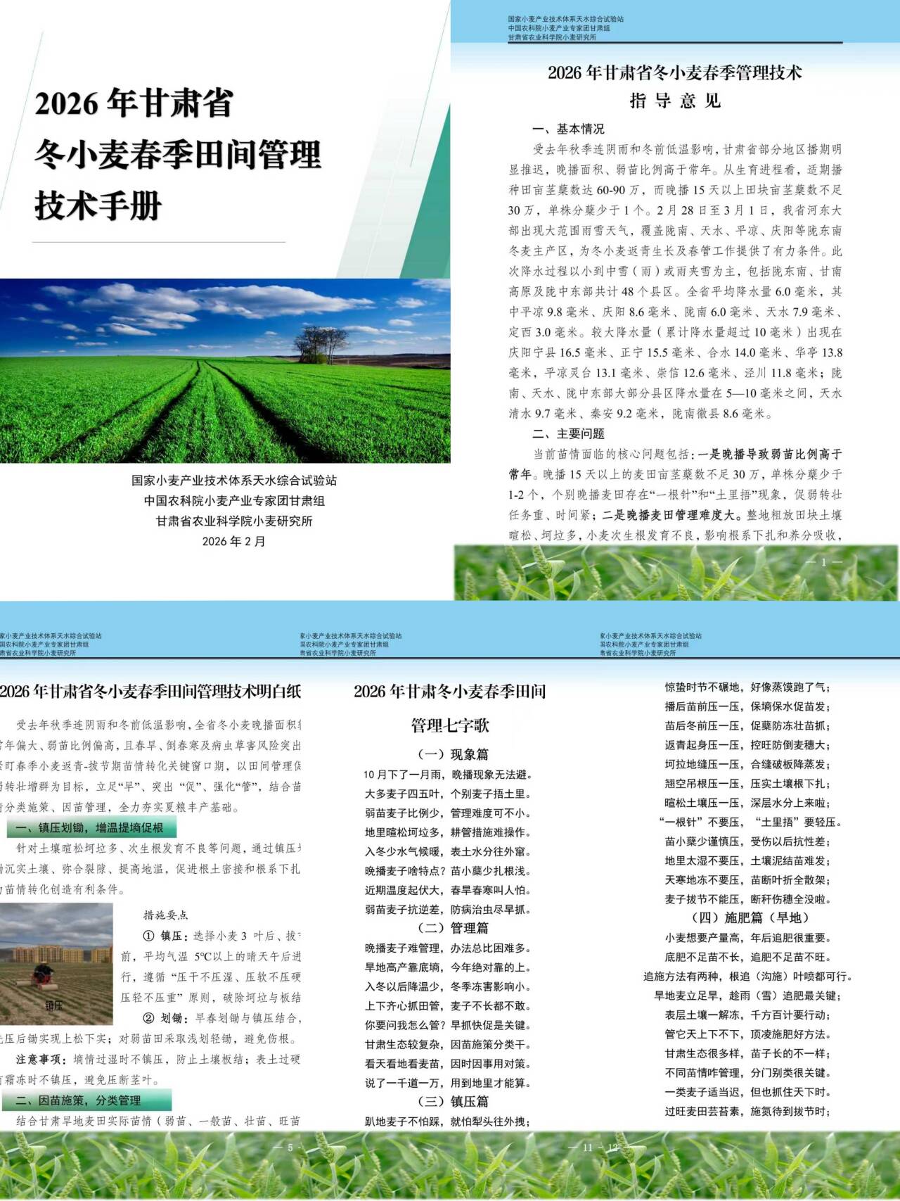 大中小】