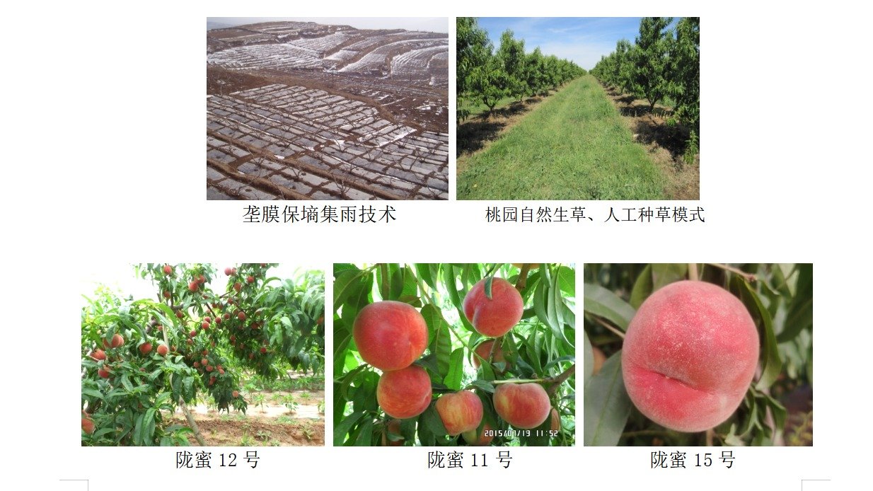 所属科学技术领域作物遗传育种