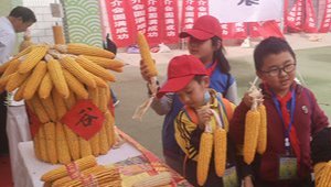 省委副书记石谋军莅临省农科院调研指导