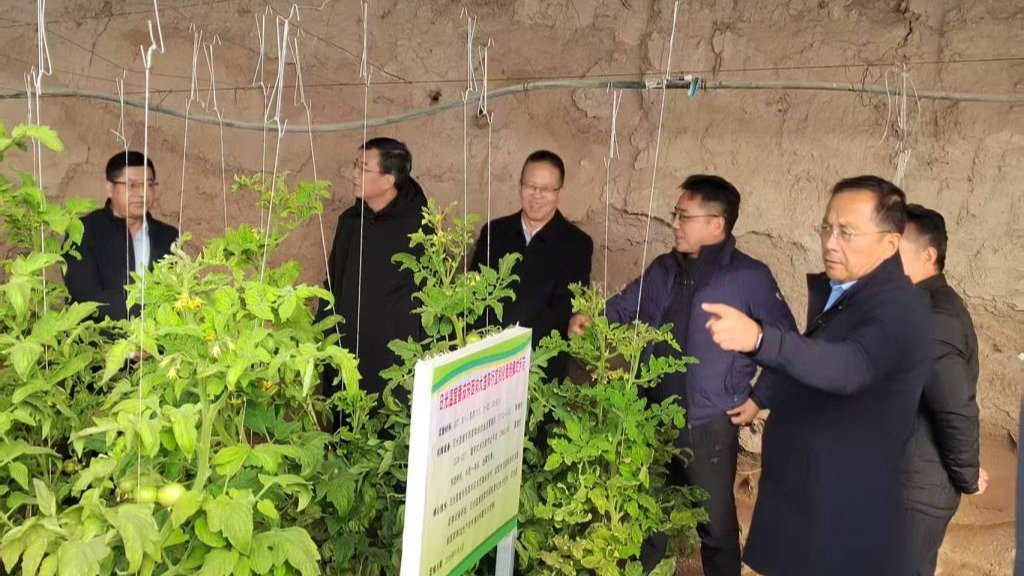 省委副书记石谋军莅临省农科院调研指导