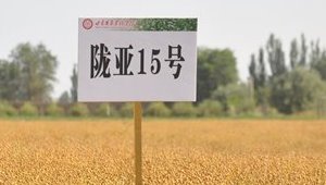 乐鱼leyu体育官方网站app下载