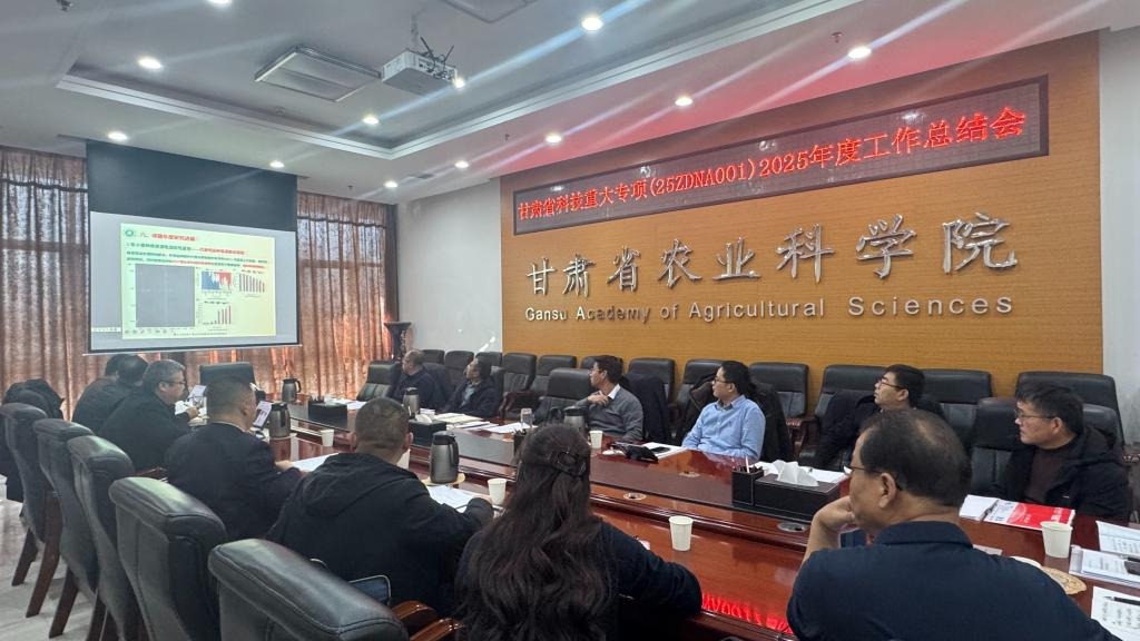 省委书记胡昌升调研考察清水小麦试验示
