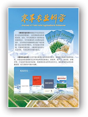 1288) 【字体