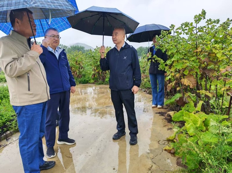 院乐鱼leyu体育官方网站携手拜仁慕