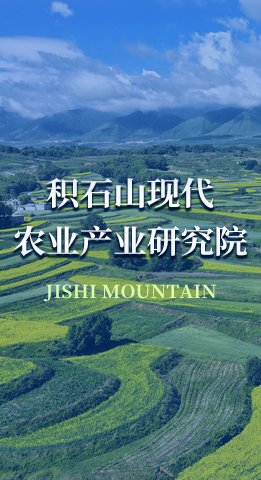 履职担当促发展 深耕“三农”建新功